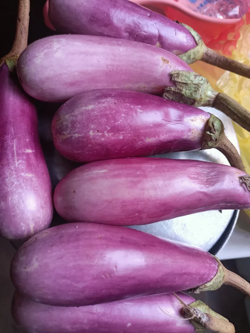 🍆 Did you know that eggplants are not just delicious, but also packed with amazing health benefits? 🌟

🥗 Incorporating more eggplants into your diet can help:
1️⃣ Boost heart health: Eggplants are rich in antioxidants like anthocyanins, which may lower the risk of heart disease.
2️⃣ Aid in weight management: They're low in calories and high in fiber, making you feel full and satisfied.
3️⃣ Improve digestion: The fiber in eggplants promotes a healthy gut and may prevent constipation.
4️⃣ Support brain function: Anthocyanins may protect brain cells from oxidative stress.
5️⃣ Regulate blood sugar: Some studies suggest eggplants can help manage blood sugar levels.

🍆 Plus, they're so versatile! Grill them, bake them, or make a delicious eggplant Parmesan. Your taste buds and your body will thank you! 😋 #HealthyEating #EggplantBenefits #NutritionFacts