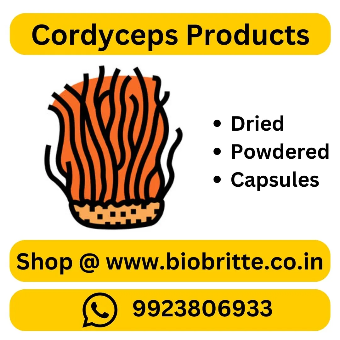 USE  CORDYCPES 

FOR
ENERGY
STAMINA
ENDURANCE

find details at https://www.biobritte.co.in