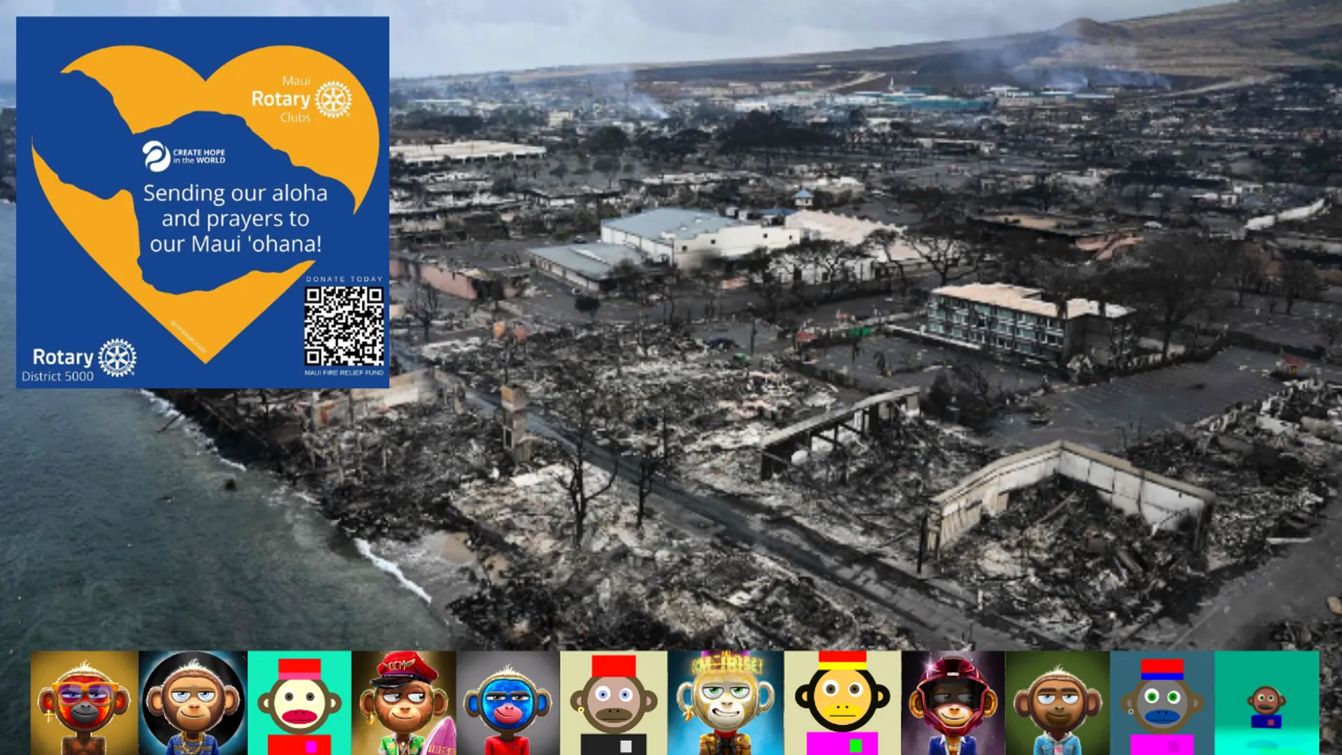 I’m proud of our OnChainMonkey web3 community for stepping up and helping Maui fire victims-- and we're just getting started 💜🌴. Please see the full post on Medium with more info, screenshots and links. !RISE  Thanks!  https://mitchjackson.medium.com/im-proud-of-our-onchainmonkey-web3-community-for-helping-maui-fire-victims-b7fe02f3d6ed