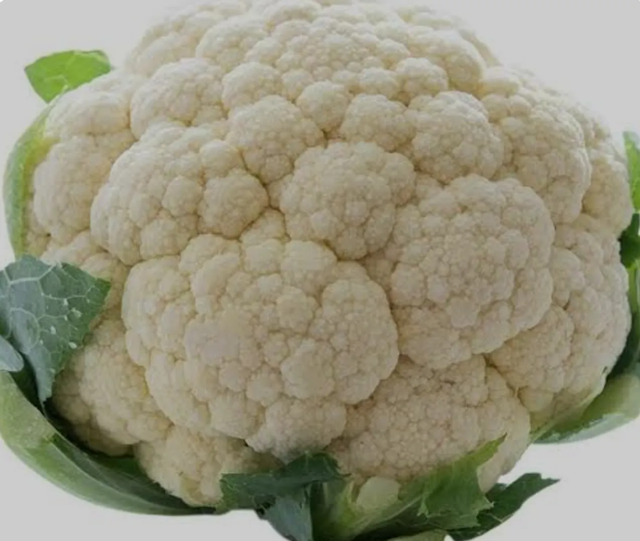 Cauliflower: A Crucial Component of Immune Support

When it comes to white foods that can enhance your immune system, cauliflower deserves a special mention. This unassuming cruciferous vegetable is a powerhouse of nutrients that contribute to overall health and immunity. Let's explore how cauliflower can play a vital role in strengthening your body's defense mechanisms.

The Nutritional Value of Cauliflower:
Cauliflower is rich in a variety of essential nutrients that can bolster your immune system. Among these nutrients are:

1. Vitamin C: Just like other white foods, cauliflower contains vitamin C, a potent antioxidant that aids in protecting cells from damage caused by harmful free radicals. This vitamin also supports the production and function of immune cells, enhancing your body's ability to fight off infections.

2. Fiber: Fiber is a key player in maintaining a healthy gut environment. A balanced gut microbiome is closely linked to optimal immune function, as a significant portion of immune cells resides in the gut. Consuming fiber-rich foods like cauliflower can promote the growth of beneficial gut bacteria and enhance overall immune response.

3. Glucosinolates: Cauliflower contains glucosinolates, natural compounds that have been studied for their potential to support immune health. These compounds have antioxidant and anti-inflammatory properties, which can contribute to a stronger immune system.

Incorporating Cauliflower into Your Diet:
The versatility of cauliflower makes it easy to include in various dishes, ensuring you reap its immune-boosting benefits. Here are some creative ways to incorporate cauliflower into your meals:

1. Roasted Cauliflower: Roasting cauliflower brings out its natural sweetness and provides a satisfying texture. Toss cauliflower florets with olive oil, seasonings, and herbs, then roast until they're golden and tender.

2. Cauliflower Rice: Use cauliflower as a low-carb alternative to rice. Simply pulse cauliflower in a food processor until it reaches a rice-like consistency. Sauté it with your favorite vegetables and seasonings for a wholesome side dish.

3. Cauliflower Mash: Create a creamy and nutritious alternative to mashed potatoes by steaming cauliflower and mashing it with a touch of butter or olive oil. Add garlic, herbs, or a sprinkle of grated cheese for extra flavor.

4. Cauliflower Soup: Blend steamed cauliflower with broth and seasonings to make a creamy and comforting soup. Customize it with your favorite herbs and spices for a satisfying bowl of immune-boosting goodness.

Conclusion:
Cauliflower is a white food that should not be overlooked when it comes to supporting your immune system. Packed with vitamin C, fiber, and unique compounds like glucosinolates, cauliflower offers a range of benefits that contribute to immune health. By incorporating cauliflower into your diet in creative and delicious ways, you're making a proactive choice to fortify your body's defenses and promote overall we