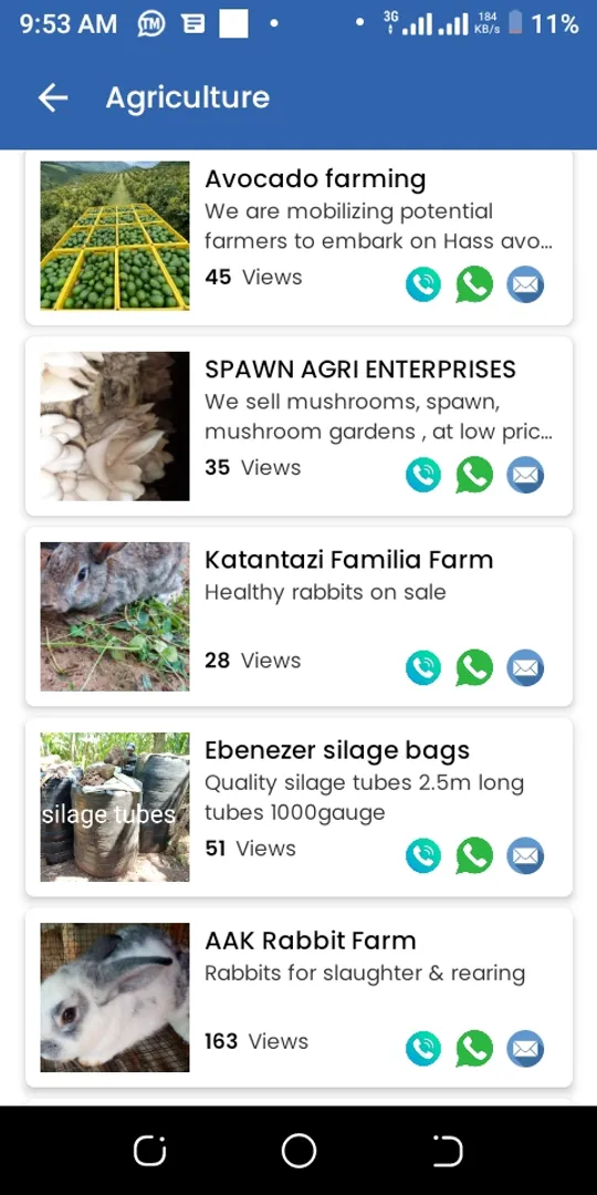 My shop is growing on Digital mall. I wonder how many sales I will make in few months from now selling quality mushrooms across Africa 