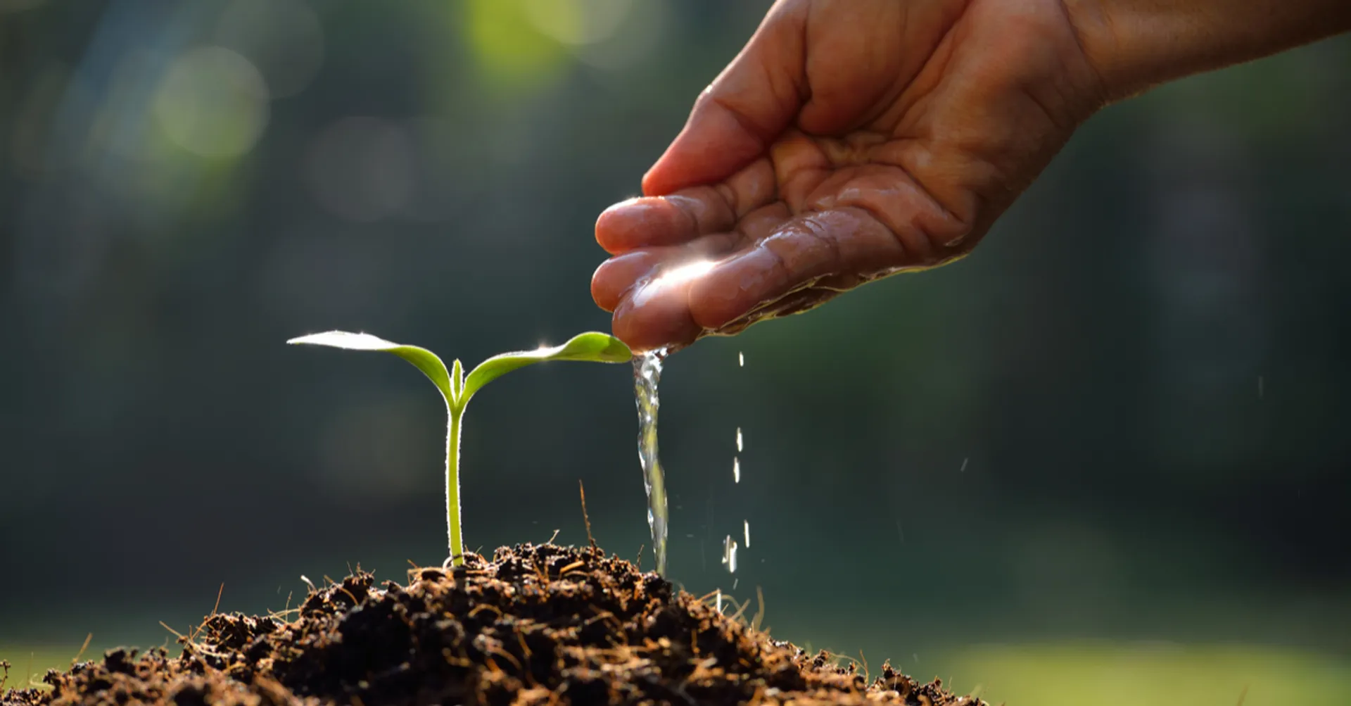 𝐋𝐞𝐚𝐝𝐞𝐫𝐬 𝐌𝐮𝐬𝐭 𝐅𝐨𝐬𝐭𝐞𝐫 𝐑𝐞𝐬𝐩𝐨𝐧𝐬𝐢𝐛𝐢𝐥𝐢𝐭𝐲
 
Planting responsibility is critical for growing a successful business. 
 
Encouraging high levels of responsibility in others can have a positive impact on productivity, performance, and creativity.
 
Cultivating responsibility in others may require founders to work in new and uncomfortable ways. Therefore, you must first embrace the long-term value.
 
 
𝗥𝗲𝘀𝗽𝗼𝗻𝘀𝗶𝗯𝗶𝗹𝗶𝘁𝘆 𝗙𝗮𝗹𝗹𝘀 𝗼𝗻 𝗬𝗼𝘂
 
Here are some tips to help you inspire responsibility:
 
𝘓𝘦𝘢𝘥 𝘣𝘺 𝘦𝘹𝘢𝘮𝘱𝘭𝘦: As a founder, stakeholders look to see how you behave.
 
When something goes wrong, accept accountability, and then explain how you will solve the problem and avoid it from happening again.
 
"𝙇𝙚𝙖𝙙𝙚𝙧𝙨𝙝𝙞𝙥 [𝙞𝙨] 𝙩𝙖𝙠𝙞𝙣𝙜 𝙧𝙚𝙨𝙥𝙤𝙣𝙨𝙞𝙗𝙞𝙡𝙞𝙩𝙮 𝙛𝙤𝙧 𝙚𝙫𝙚𝙧𝙮𝙩𝙝𝙞𝙣𝙜 𝙩𝙝𝙖𝙩 𝙜𝙤𝙚𝙨 𝙬𝙧𝙤𝙣𝙜 𝙖𝙣𝙙 𝙜𝙞𝙫𝙞𝙣𝙜 𝙮𝙤𝙪𝙧 𝙨𝙪𝙗𝙤𝙧𝙙𝙞𝙣𝙖𝙩𝙚𝙨 𝙘𝙧𝙚𝙙𝙞𝙩 𝙛𝙤𝙧 𝙚𝙫𝙚𝙧𝙮𝙩𝙝𝙞𝙣𝙜 𝙩𝙝𝙖𝙩 𝙜𝙤𝙚𝙨 𝙬𝙚𝙡𝙡.” 
– Dwight D. Eisenhower
 
 
𝘋𝘦𝘭𝘦𝘨𝘢𝘵𝘦 𝘭𝘦𝘢𝘥𝘦𝘳𝘴𝘩𝘪𝘱: Empower team members to make decisions. 
 
This approach may be tougher for founders who built a company from scratch by micromanaging many aspects of the business.
 
You have to weigh the tradeoffs. Delegating ownership will facilitate growth and allow you to focus on cutting-edge product and business strategies.
 
To delegate effectively, emphasize outcomes over process. Ask for regular updates on progress, obstacles, and metrics, but don't take back control.
 
 
𝘌𝘯𝘤𝘰𝘶𝘳𝘢𝘨𝘦 𝘢𝘶𝘵𝘰𝘯𝘰𝘮𝘺: Share expectations for their role, set measurable objectives, and provide regular feedback.
 
For every person, connect performance to team and company success.
 
Finally, emphasize metrics across the board. Openly sharing recurring updates and reports fosters collaboration and accountability.
 
 
𝘍𝘰𝘴𝘵𝘦𝘳 𝘨𝘳𝘰𝘸𝘵𝘩: Just like you, others have motivations to perform well. Allow others to fuel their ambition as it aligns with your goals.
 
Allow employees to enhance their skills and knowledge related to their work e.g. training, networking, and mentorship.
 
Acknowledge employees who demonstrate responsibility to reinforce desired activities. This appreciation should be done both privately and publicly.
 
 
𝘒𝘯𝘰𝘸 𝘠𝘰𝘶𝘳𝘴𝘦𝘭𝘧: Some founders expect perfection and are tough on themselves while ignoring accomplishments.
 
While this approach may work for you, most people require more recognition and leeway.
 
Consider how you can emphasize positive recognition while tempering negative feedback. While it's crucial to be candid, it's equally important to have the intention of building up others and encouraging greater responsibility.
 
 
To inspire responsibility in others, you may need to operate differently. However, you will create exponential benefits for yourself and others.

________________________________________

Our latest newsletter talks about growth and balance in “Am I the Obstacle?” and “You’re Doing Fine” https://bit.ly/47iGQMA 

𝗦𝗰𝗮𝗹𝗲: 𝗥𝗲𝗮𝗰𝗵 𝗬𝗼𝘂𝗿 𝗣𝗲𝗮𝗸 is a modular handbook with over 130 articles that ascend into topics like leadership, growth, sales, marketing, operations, finance, and teams. In just five minutes, learn the best methods and practical solutions to help you reach your dreams. https://smile.amazon.com/dp/B0BP9GVRPY

Contact info@webuildscalegrow.com to receive a free copy of the article "Facing Your Fears Is Powerful".