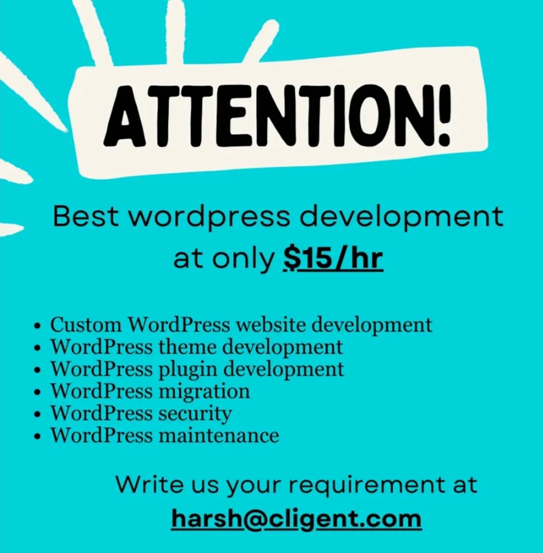 WordPress development services 😇