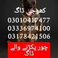 Army dog center 03010417477