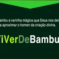 ViverDeBambu 